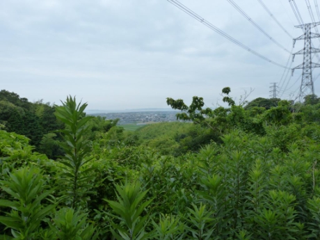 画像26